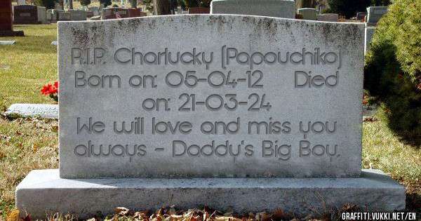 R.I.P. Charlucky (Papouchiko) 
Born on: 05-04-12    Died on: 21-03-24 
We will love and miss you always - Daddy's Big Boy.