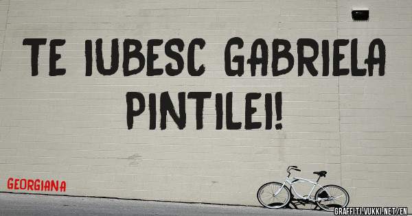 TE IUBESC GABRIELA PINTILEI!