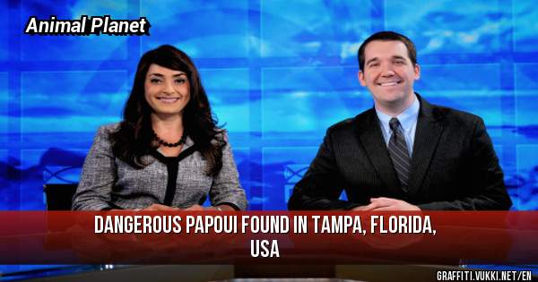 Dangerous Papoui Found in Tampa, Florida, USA