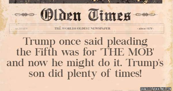 Trump once said pleading the Fifth was for 'THE MOB' and now he might do it. Trump's son did plenty of times! 