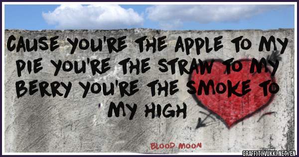 cause you're the apple to my pie you're the straw to my berry you're the smoke to my high