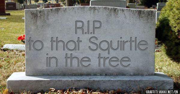 R.I.P 
to that Squirtle in the tree
