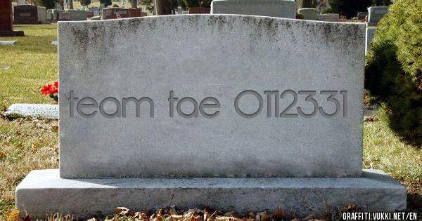 team tae 0112331