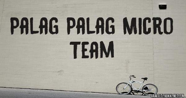 Palag Palag Micro Team 