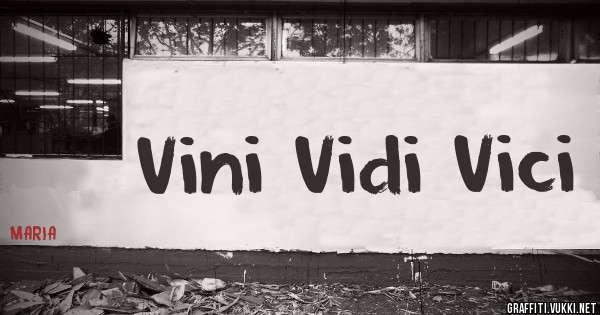 Vini Vidi Vici