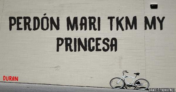 Perdón Mari tkm my princesa 
