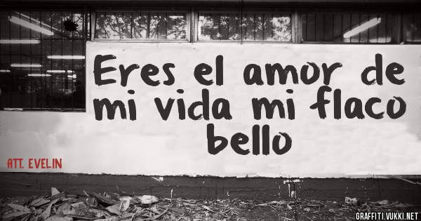 Eres el amor de mi vida mi flaco bello