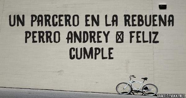 un parcero en la rebuena perro Andrey ﻿ feliz cumple