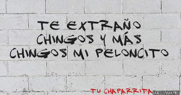 Te extraño chingos y más chingos mi peloncito 