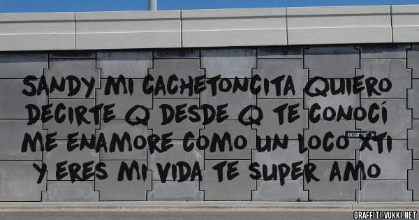 Sandy mi cachetoncita quiero decirte q desde q te conocí me enamore como un loco xti y eres mi vida te super amo