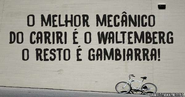 O melhor mecânico do Cariri é o Waltemberg o resto é gambiarra!