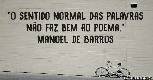 ''O sentido normal das palavras não faz bem ao poema.'' 
Manoel de Barros 