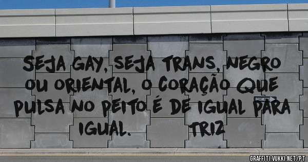 Seja gay, seja trans, negro ou oriental, o coração que pulsa no peito é de igual para igual.          Triz