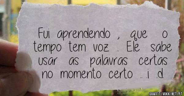 Fui  aprendendo  ,   que    o   tempo  tem  voz  ..  Ele   sabe   usar   as   palavras   certas  no  momento  certo  .. .i  .d.
