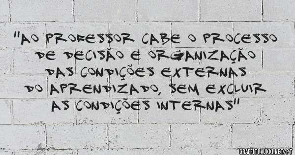 ''Ao professor cabe o processo de decisão e organização das condições externas do aprendizado, sem excluir as condições internas''