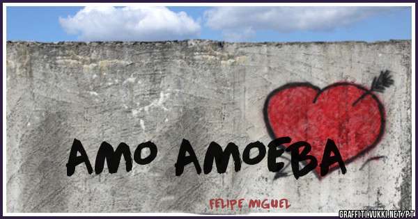                                                                    AMO AMOEBA  