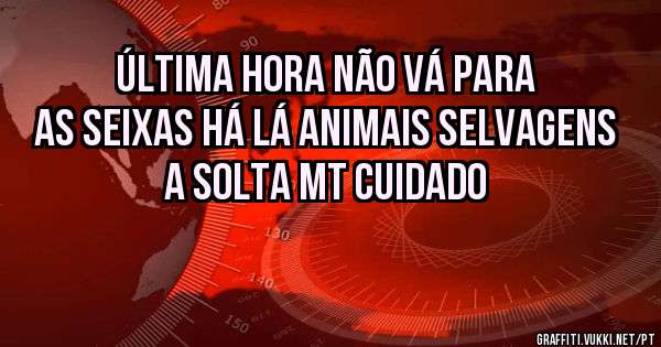 Última hora não vá para as seixas há lá animais selvagens a solta MT cuidado 