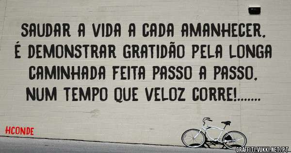 saudar a vida a cada amanhecer, é demonstrar gratidão pela longa caminhada feita passo a passo, num tempo que veloz corre!.......