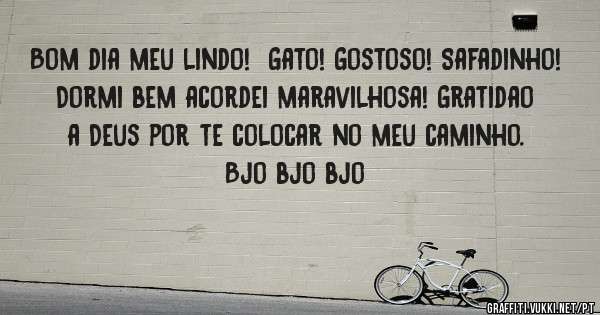 Bom dia meu lindo!  Gato! Gostoso! Safadinho! 
Dormi bem acordei maravilhosa! Gratidao a Deus por te colocar no meu caminho. Bjo bjo bjo
 