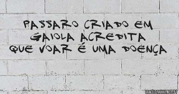 Passaro criado em gaiola acredita que voar é uma doença