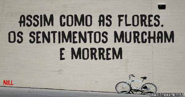 Assim como as flores,
Os sentimentos murcham e morrem