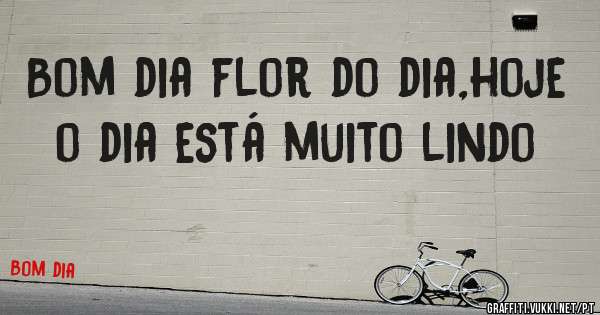 Bom dia flor do dia,hoje o dia está muito lindo 