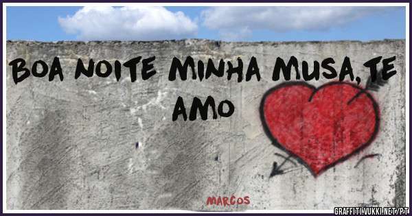 Boa noite minha musa,te amo