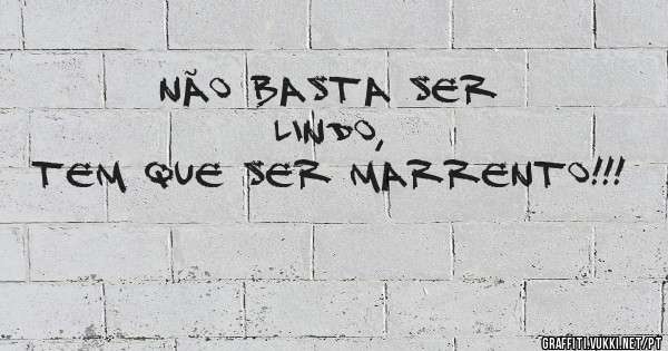     NÃO BASTA SER LINDO,
TEM QUE SER MARRENTO!!!