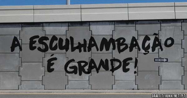 A ESCULHAMBAÇÃO É GRANDE!