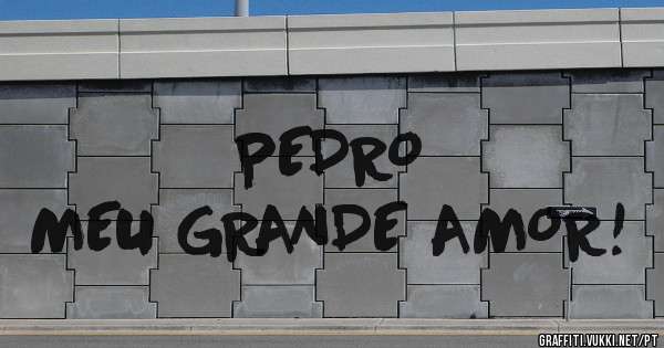 PEDRO
MEU GRANDE AMOR!