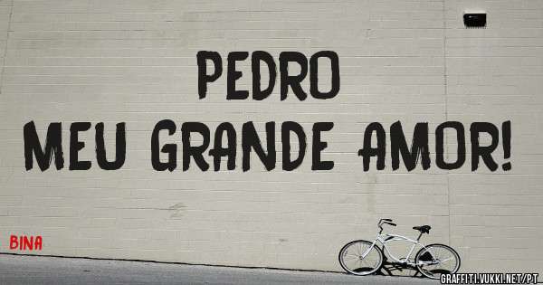 PEDRO
MEU GRANDE AMOR!