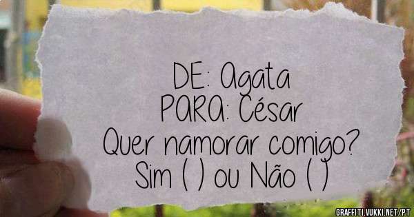 DE: Agata 
PARA: César 

Quer namorar comigo?
Sim ( ) ou Não ( )