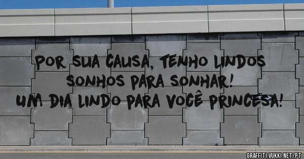 Por sua causa, tenho lindos sonhos para sonhar! 
Um dia lindo para você princesa!