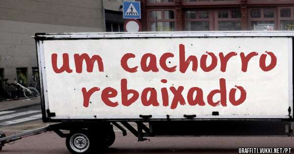 um cachorro rebaixado