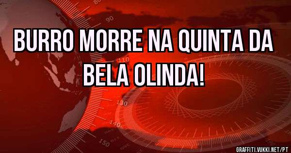 Burro morre na Quinta da Bela Olinda!