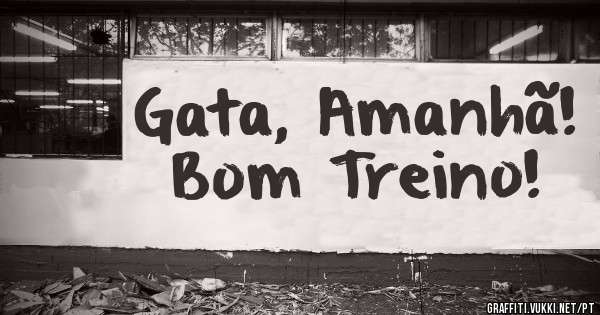 Gata, Amanhã!
Bom Treino!
