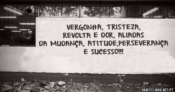 VERGONHA, TRISTEZA, REVOLTA E DOR, ALIADAS DA MUDANÇA, ATITUDE,PERSEVERANÇA E SUCESSO!!!

