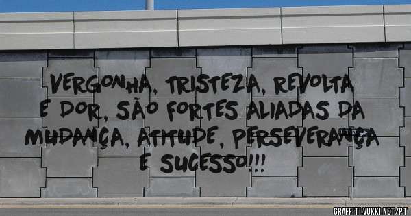 VERGONHA, TRISTEZA, REVOLTA E DOR, SÃO FORTES ALIADAS DA MUDANÇA, ATITUDE, PERSEVERANÇA E SUCESSO!!!
