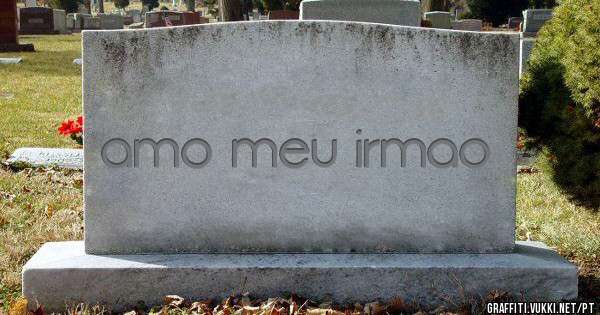 amo meu irmao
