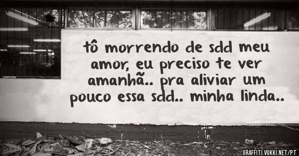 tô morrendo de sdd meu amor, eu preciso te ver amanhã.. pra aliviar um pouco essa sdd.. minha linda..
