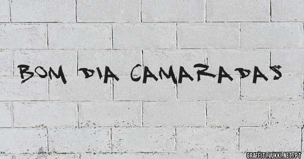 Bom dia Camaradas 