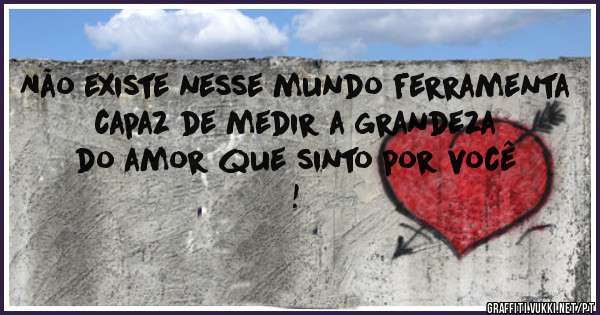 Não existe nesse mundo ferramenta capaz de medir a grandeza do amor que sinto por você !
