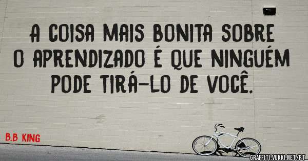 A coisa mais bonita sobre o aprendizado é que ninguém pode tirá-lo de você.
