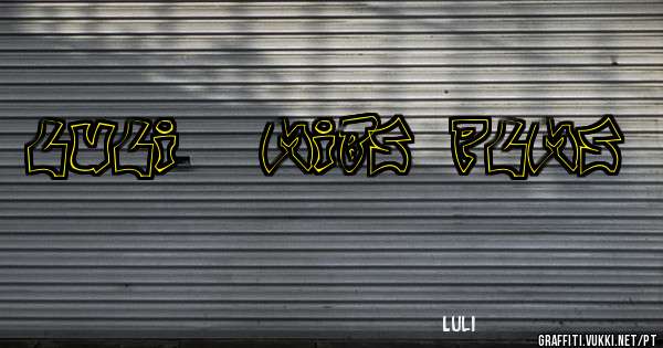LULI + MIBS ''PLMS''