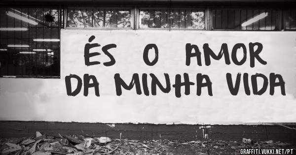 ÉS  O  AMOR DA MINHA VIDA 