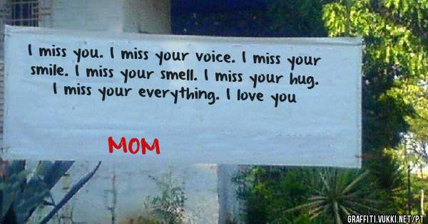 I miss you. I miss your voice. I miss your smile. I miss your smell. I miss your hug. I miss your everything. I love you 