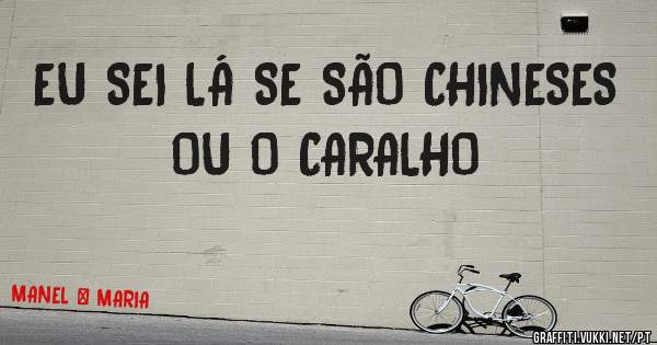 EU SEI LÁ SE SÃO CHINESES OU O CARALHO 