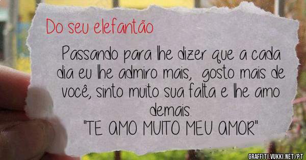 Passando para lhe dizer que a cada dia eu lhe admiro mais,  gosto mais de você, sinto muito sua falta e lhe amo demais. 
''TE AMO MUITO MEU AMOR''