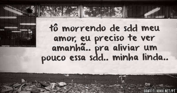 tô morrendo de sdd meu amor, eu preciso te ver amanhã.. pra aliviar um pouco essa sdd.. minha linda..