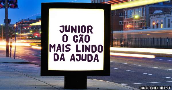 JUNIOR O CÃO MAIS LINDO DA AJUDA 
